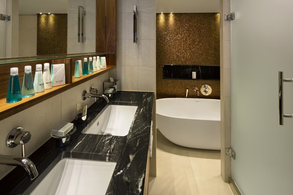 AmaWaterways AmaRudi Grand Suite Bathroom.jpg